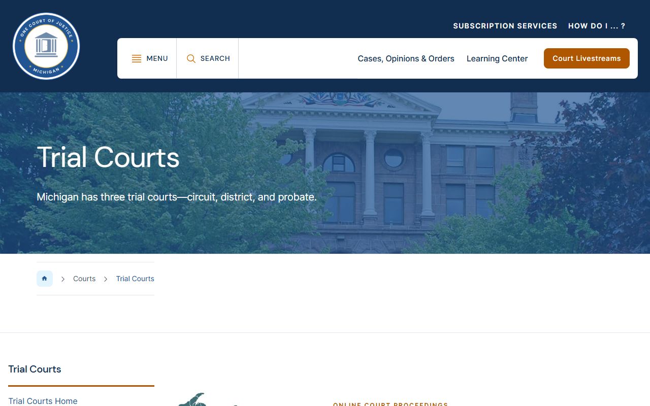 Manistee County court dockets and Michigan trial court structure